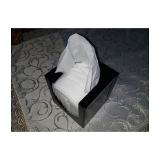 Rectangular tissue holder open from two sides with tissues
