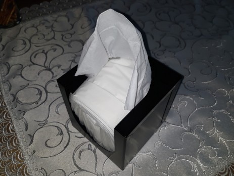 Rectangular tissue holder open from two sides with tissues